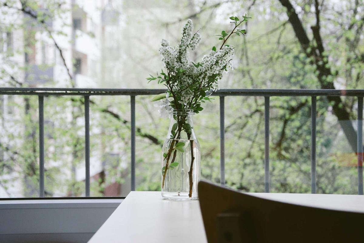 Studio Apartment — Creek & Skyline View
